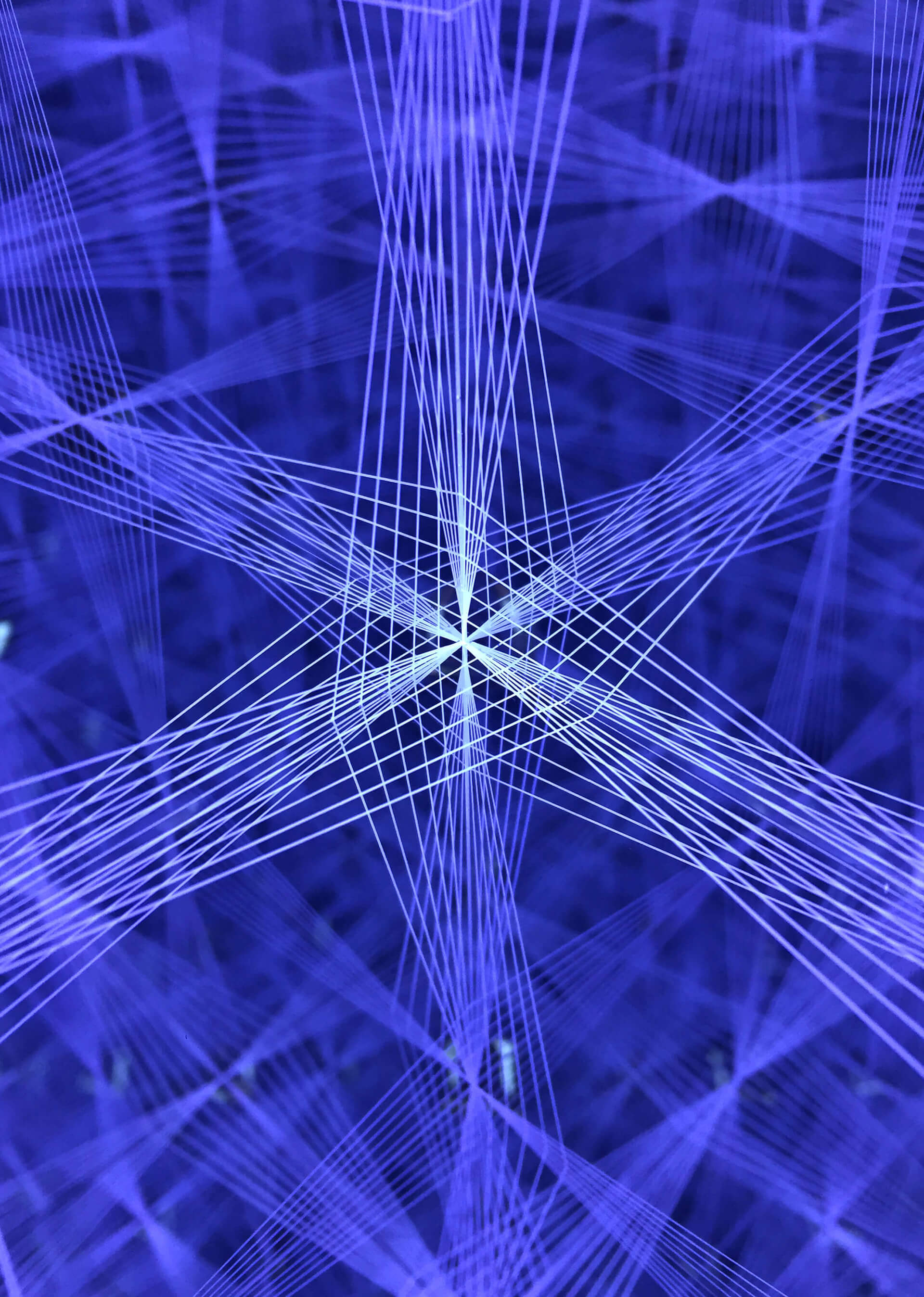 gallery-3